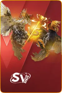 th9 สล็อต